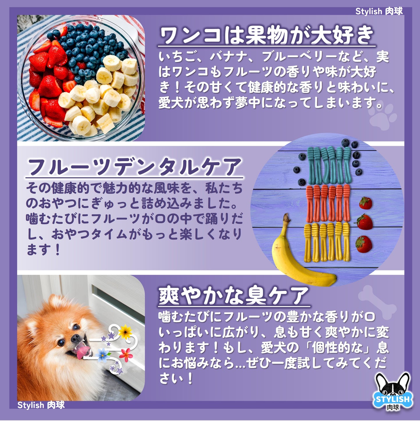 Stylish 肉球・犬用歯磨きガム 犬 おやつ フルーツ＆ミントの味 90g 長持ち6本 天然素材 口臭ケア 息ケア 歯垢除去 デンタルケア